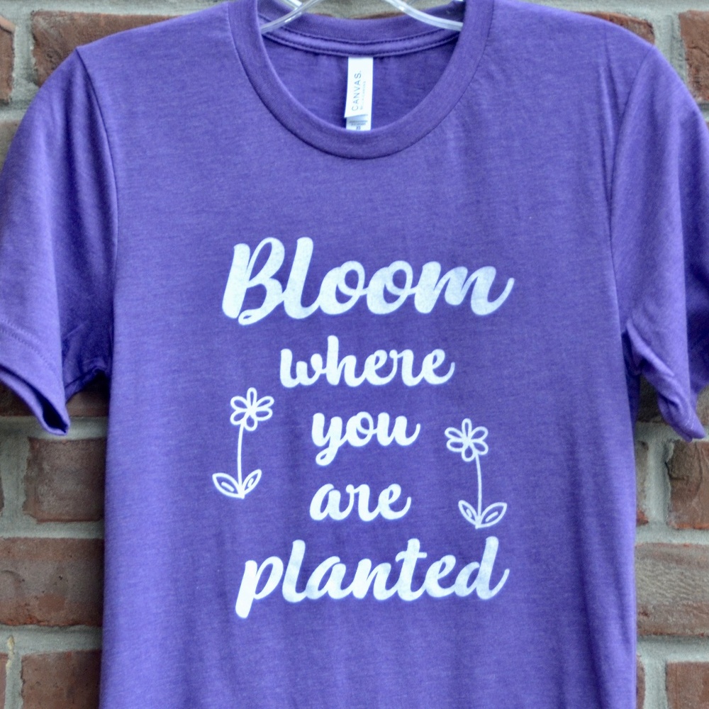 Bloom where you are planted wholesale bundle of 6